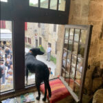 librairie-caminando-larressingle-spectateur.jpg